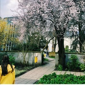 Meet your Posher, Kay